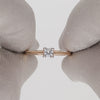Golden ring 