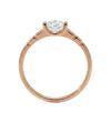 auksinis ziedas 412 eur