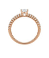 suzadetuviu ziedas 569 eur