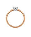 Golden ring 